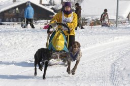 Lenk 2012 SM